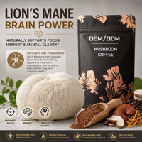 Poudre de café aux champignons 5-en-1 fonctionnelle OEM ODM, base riche en Arabica, mélange de boisson énergisante instantanée, directement de l'usine