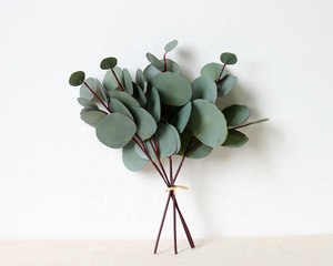 Ramo de Tallos de <span class=keywords><strong>Eucalipto</strong></span> Artificial Realista M123, Flores Artificiales y Vegetación, Semillas de Seda para Decoraciones de Graduación - Product Image 3