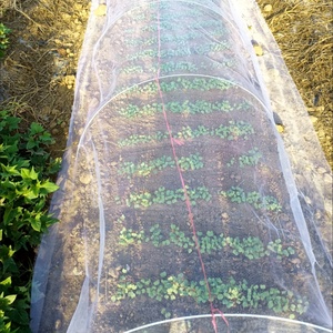 <span class=keywords><strong>Filet</strong></span> <span class=keywords><strong>anti</strong></span>-insectes agricole en HDPE, maille de protection contre les parasites pour serres, fruits et légumes - Product Image 2