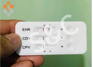Cuidado de mascotas Pruebas de diagnóstico veterinario Clínica de mascotas Detección rápida EHR/ANA/BAB Babesia Ehrlichia Ab E Canis Muestra gratis - Product Image 6