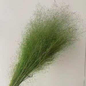 Tự nhiên Ins Hot khô <span class=keywords><strong>muhly</strong></span> Cỏ khô tự nhiên pampas cỏ cho địa điểm tổ chức đám cưới trang trí & giáng sinh hoa sắp xếp - Product Image 3