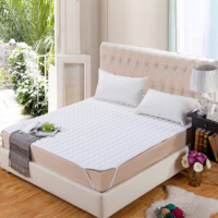 Factory Direct Sale Hotel Einfacher weißer Gänse betts chutz im modernen Stil Mahjong Mat Thick 90% Goose Luxury Anti-Bacteria Home