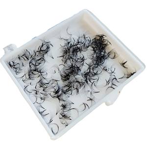 Top vente Ultra vitesse à la main 6D/1000 ventilateurs Promade doux coréen noir Extensions de cils beauté en gros - Product Image 4