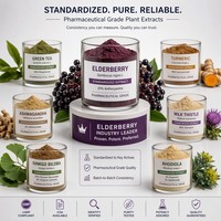 Poudre d'extrait naturel de sureau 15% 25% Anthocyanes Qualité alimentaire Certifié HPLC