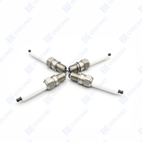 Remplacement de la bougie d'allumage du moteur Iridium R5B12-77 pour GI3-5/GI3-1/GI3-3 7305MR 3 DII 360 0 242 356 512