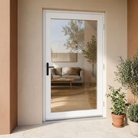 Porte d'entrée simple en PVC blanc avec panneau de verre double vitrage, serrure multipoints et poignée à levier en aluminium noir pour usage résidentiel