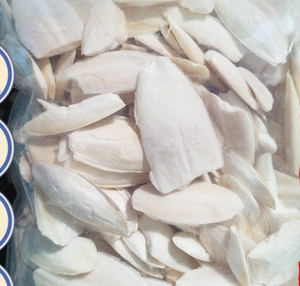 Coquille interne naturelle en os de seiche véritable de la seiche Céphalopode en forme de calmar en os blanc - Product Image 4