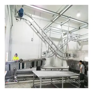 Turnkey Abattoir Equipment Pork Slaughtering Equipment For Pig Meat Process Cut Butcher