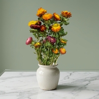 Matériaux d'arrangement floral en gros tout-en-un : Fleurs éternelles en paille avec tige, fleurs en paille préservées, chrysanthèmes naturels