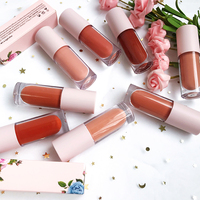 Macing — rouge à lèvres de luxe, kit personnalisable, vente en gros, marron mat, liquide, ombre chair, modèle de styliste