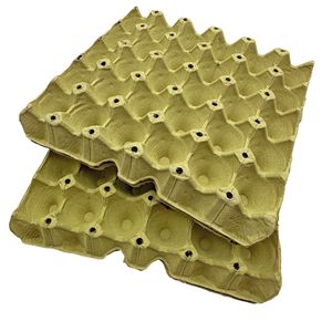 Paquete de 30 Bandejas para Huevos de Pulpa de Bagazo Amarilla, Reciclables, Sin Blanquear, Engrosadas, de Calidad, Resistentes a Impactos y Presión, PandaPack - Product Image 5