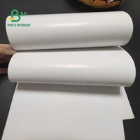 Papier LWC léger enduit de 60g, 64g, 70g pour la fabrication de marques déposées