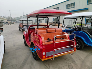 2025 Custom 8 11 14 Seat Electric Classic Car Venta caliente al Aire Libre Verde Vintage para <span class=keywords><strong>VW</strong></span> Car From China Factory Enjoliver Price - Product Image 6