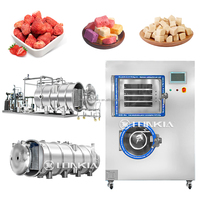 Volautomatische Vacuüm Vriesdroger Voor Fruitgroente Verwerking Bessen Champignons Vacuüm Vriesdroogmachine