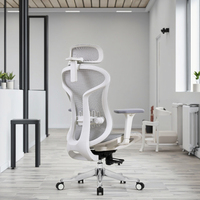 Chaise de bureau pivotante ergonomique moderne en maille de haute qualité avec soutien lombaire réglable Caractéristiques réglables