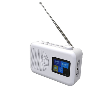 Larger Display Color TFT Portable Calendar Bluetooths Alarm Clock DAB/DAB+ Fm Radio