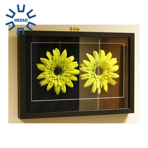 <span class=keywords><strong>Cadre</strong></span> <span class=keywords><strong>photo</strong></span> <span class=keywords><strong>anti</strong></span>-<span class=keywords><strong>reflet</strong></span> en <span class=keywords><strong>verre</strong></span> Ar de haute qualité d'approvisionnement d'usine - Product Image 5