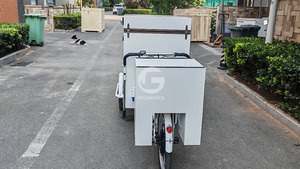 รถเข็นไอศกรีมไฟฟ้าสามล้อ Etodevice พร้อมหลังคาบังแดด ตู้เย็น จักรยานขายเครื่องดื่มเย็น รถสามล้อขายของ - Product Image 5