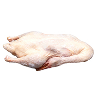 프리미엄 냉동 오리 통살 (발, 날개, 내장 제외) 케이터링 및 국제 시장용