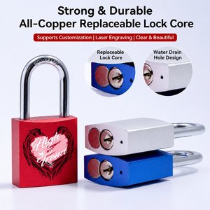 <span class=keywords><strong>Cadenas</strong></span> en aluminium gravé au laser personnalisé avec noyau de serrure remplaçable – Fabrication usine - Product Image 1