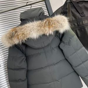 Parka Invernale da Uomo Stile Classico di Alta Qualità, Giacca Imbottita Antivento con Vera Pelliccia di Coyote, Modello Canadese - Product Image 3