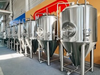 100l 200l 250l 300l 400l 500l 600l 800l 1000l cuve de fermentation de bière conique en acier inoxydable pour brassage de bière