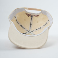Gorras de 5 Paneles de Perfil Bajo con Logotipo Bordado Personalizado, Tela de Lona, Sin Estructura, Visera Plana, con Cuerda