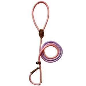 Correa de perro de nailon de poliéster duradero al por mayor, correa de plomo antideslizante para mascotas al aire libre, cinta de cadena P, <span class=keywords><strong>Collar</strong></span> para caminar para perros de <span class=keywords><strong>Color</strong></span> sólido puro - Product Image 4