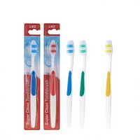 Brosse à dents manuelle en plastique pour adulte, à poils souples en nylon, avec logo personnalisé, emballage individuel, usage domestique, vente en gros DR .PERFECT DP-301