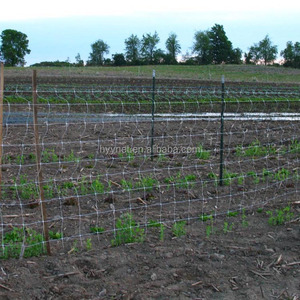 Rau leo lưới lưới bảo vệ thực vật lưới lưới mắt cáo trắng - Product Image 6