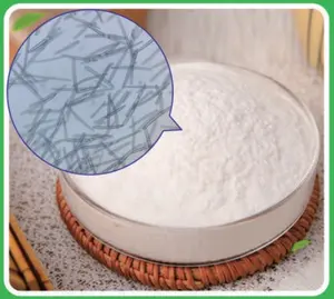 Polvo de Esponja Hidrolizada OEM ODM, Extracto Herbal, Ingrediente para el Cuidado de la Piel, Spongilla <span class=keywords><strong>Fragilis</strong></span>, Lecidy Bio, Microagujas para Peeling - Product Image 2