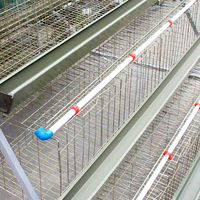 Prix d'usine galvanisé fer treillis métallique poulailler automatique ferme Cage couche poulets soudé en acier forme de trou carré clôture