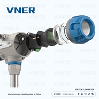 Débitmètre vortex intégré/à distance de 16 pouces, leader de l'industrie, SS304/316/Hastelloy à bride, sortie analogique/impulsion/Hart pour gaz/vapeur