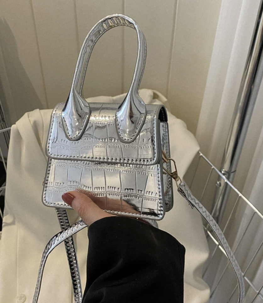 Silver bag