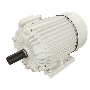 มอเตอร์ไฟฟ้ากระแสสลับสามเฟส 6 โพล 230-460/796V 1200 รอบต่อนาที 100 แรงม้า 60 เฮิรตซ์ IP55 TEFC สายทองแดง - Product Image 2