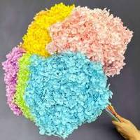 Hortensia blanchi et stabilisé de haute qualité, diamètre 17-20 cm, prix de gros, pour mariage, fête des Mères, Noël, décoration intérieure