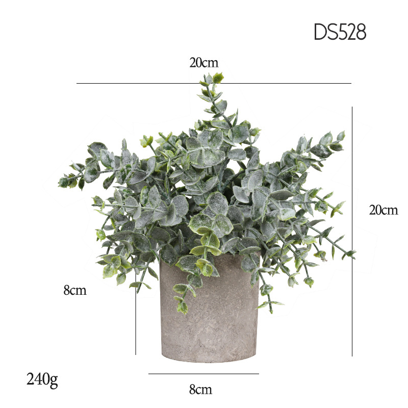 528  Hanging frost tip Eucalyptus