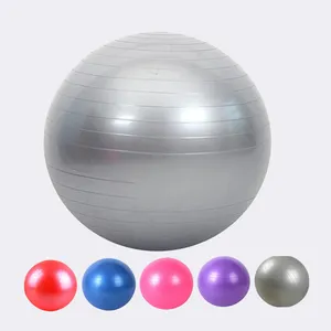 65CM 800GM Multiple Size Rubber Physio Ball Pelotas De Yoga Office Desk Chair Fit Ball Non Slip Surface Yoga Ball With Pump