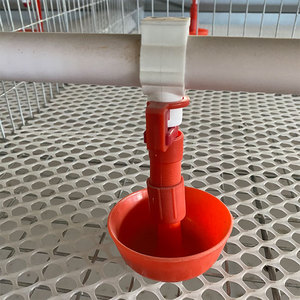Système de cages en batterie multi-niveaux de type A pour l'élevage de poulets de chair au Ghana - Product Image 4