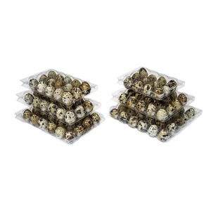 China Manufacturer Custom Blister Plastic PET Quail Egg Packaging Tray for Sale
