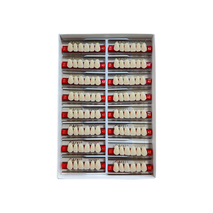 Dentadura de resina sintética de dos capas Anterior personalizada de fábrica <span class=keywords><strong>CAIYU</strong></span>, certificado CE ISO, accesorios de equipo de terapia oral Manual - Product Image 3