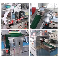 Voll automatischer Durchfluss Horizontale Verpackung Einfrieren Ice Pop Bar Kunststoff Lolly Tubes Einzel beutel Versiegelung kissen Verpackungs maschine