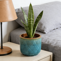 Ensemble de pots à bonsaï en céramique émaillée vert turquoise de style américain, texture croisée, écologique, durable, avec trou de drainage