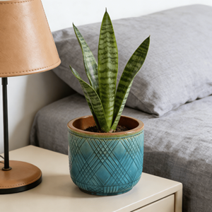 Juego de Macetas de Cerámica Esmaltada Verde Azulado Estilo Americano, Textura Cruzada, Ecológicas, Duraderas, con Orificio de Drenaje, para Interiores y Exteriores - Product Image 3