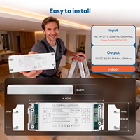 Transformador de Plástico Individual de 60W con Certificación ETL Clase 2, Atenuable por Triac, de CA 120V a CC 12V para Iluminación LED, Compatible con Atenuadores Lutron