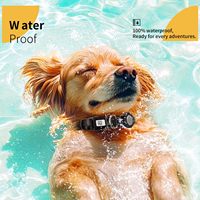 Benutzer definierter QR-Code Anti Lost Wiederauf lad bares leuchtendes Haustier halsband mit Airtag-Halter Personal isiertes wasserdichtes IPX7-LED-Hundehalsband