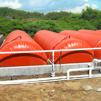 Ensemble complet de digesteur de biogaz pour porcherie, fumier domestique, boue rouge, sac de stockage de gaz pour broyeur de déchets alimentaires