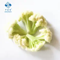 Yeni ürün kar beyaz 1-3cm,2-4cm, 3-5cm, 4-6cm IQF dondurulmuş karnabahar Floret