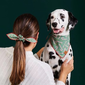 Arnés de Seguridad para Mascotas, Correa y Pañuelo, Set de Accesorios para Perros - Product Image 4