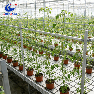 Invernadero Agrícola Grande <span class=keywords><strong>de</strong></span> Múltiples Tramos con Malla para Plantas Trepadoras, Cama <span class=keywords><strong>de</strong></span> Semillero y Banco Rodante Móvil - Product Image 4